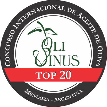 TOP 20